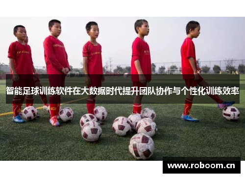 智能足球训练软件在大数据时代提升团队协作与个性化训练效率